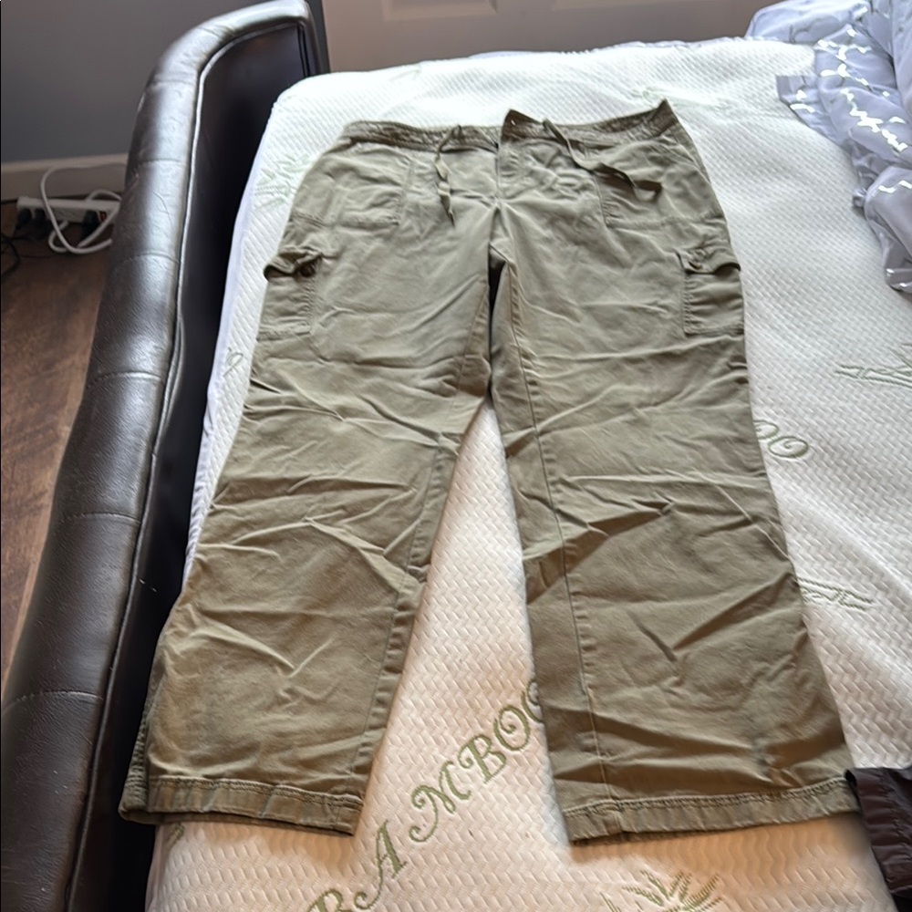 L.L. Bean Green Straight Leg Adventure Pants